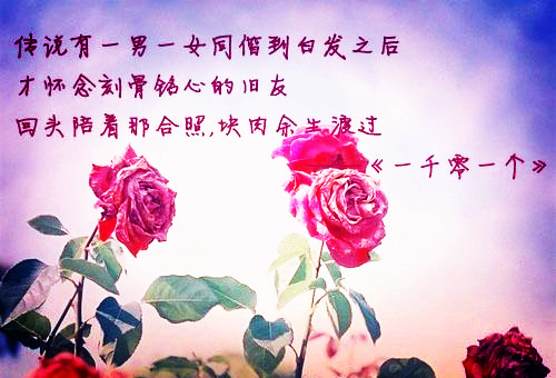 梦见拿人家的花是什么意思（梦见满屋子的花是什么意思）