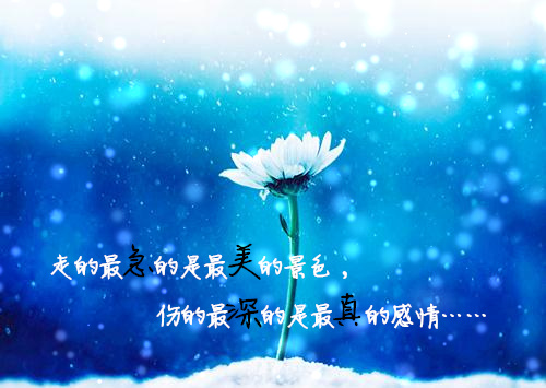 梦见大雪压到屋顶（梦见大雪飘满房顶）