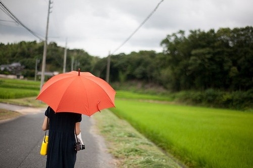 孕妇梦见老鼠跑家里了（孕妇梦见老鼠往怀里跑）