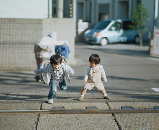 梦见大柏树在院子中间（梦见自己院子栽柏树）