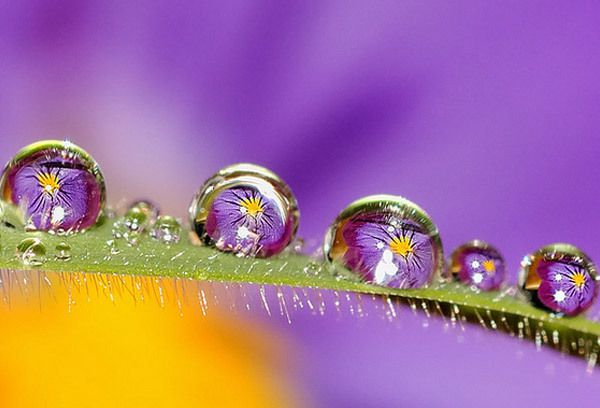 梦见闺蜜给我送苹果（梦见妹妹送给我苹果）