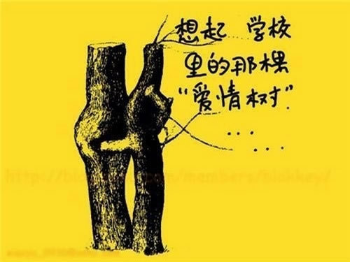 梦见自己考上不敢想象的高中（梦见自己考上重点高中了）