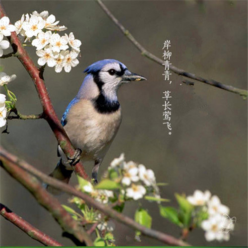 梦见自己拿个小棺材（梦见别人手里提着小棺材）