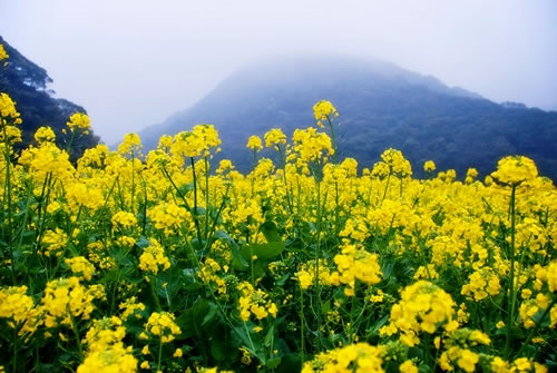 梦见很多海底生物在路上（梦见在大海里看见很多生物）