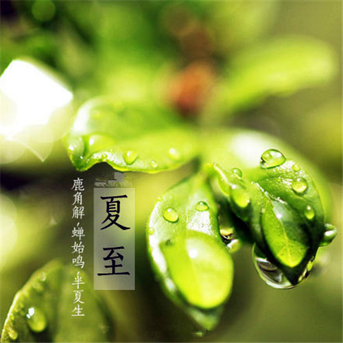 梦见河里水草茂盛周公解梦（梦见水面都是水草）