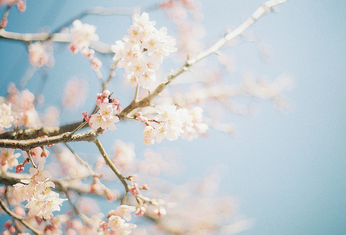 梦到种花生是什么意思啊（女人梦见带壳的生花生）