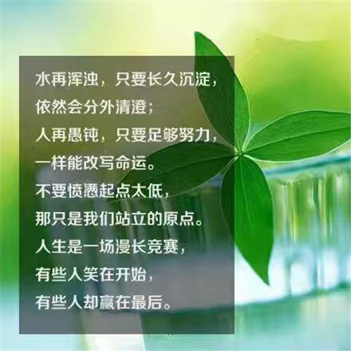 梦见自己掉到水里是什么意思呢（梦见掉到河里了是什么意思）